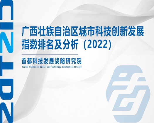 骚逼日逼视频【成果发布】广西壮族自治区城市科技创新发展指数排名及分析（2022）